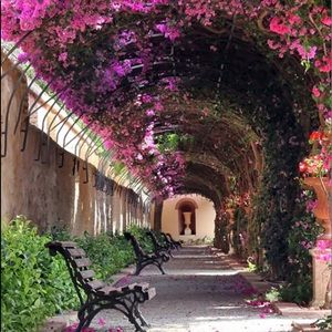 Meet your Posher, Ruzanna